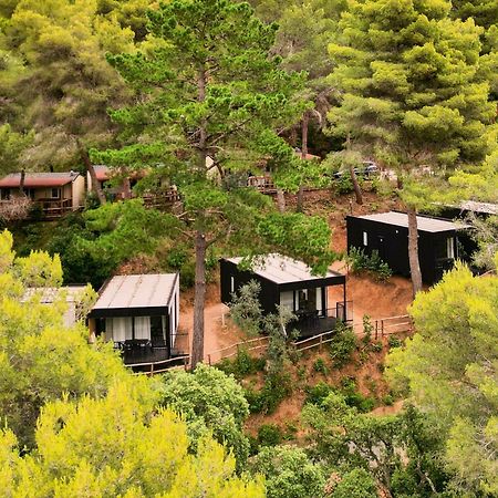 Le Pianacce Camping Village Castagneto Carducci Exterior foto