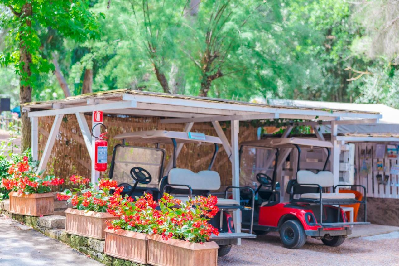Le Pianacce Camping Village Castagneto Carducci Exterior foto